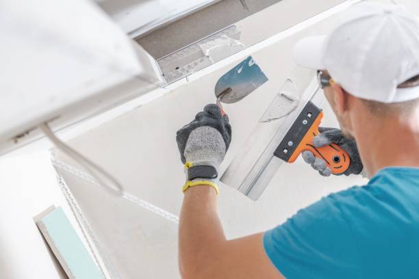 Best Mold Odor Removal Services  in Pearland, TX